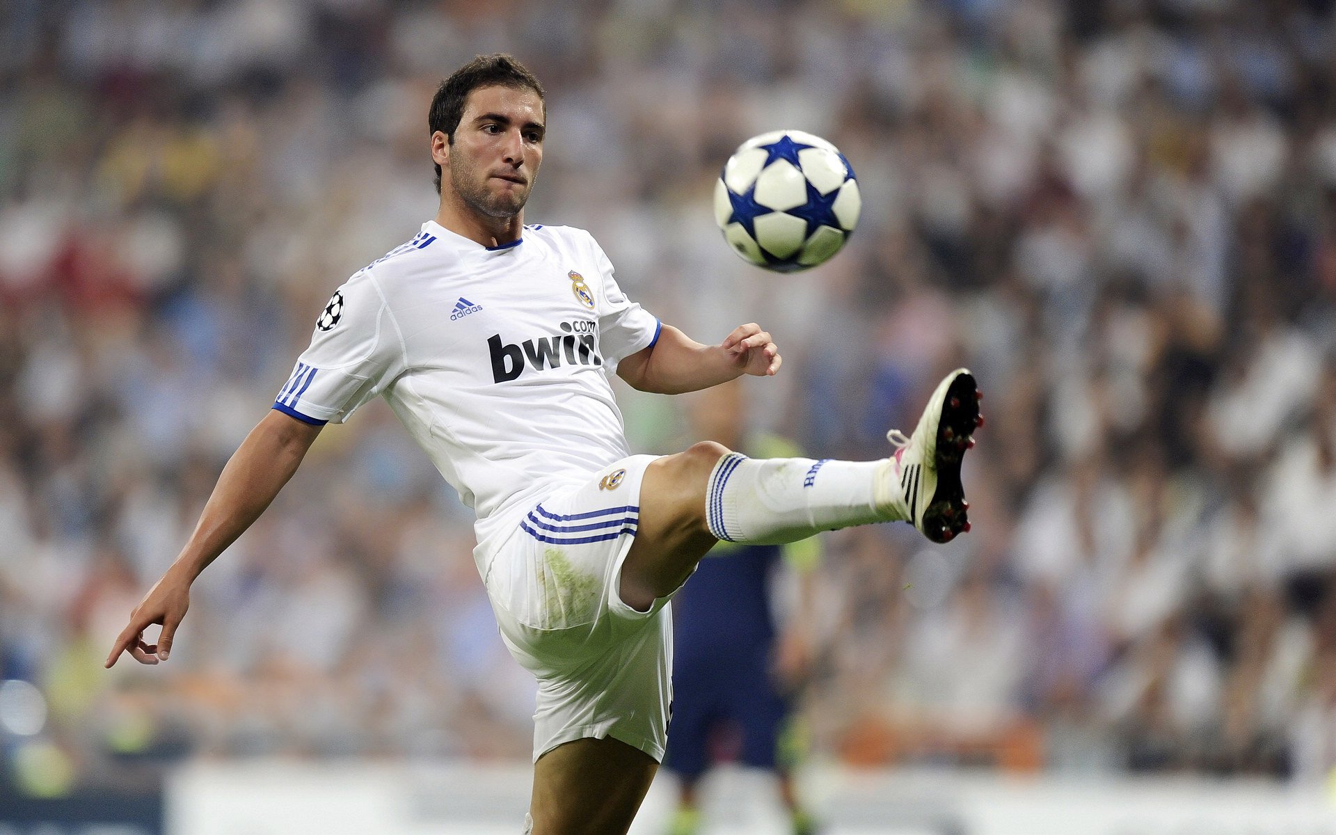 特色青训“智能化+专业化”行业深度融合，行业实力持续增强