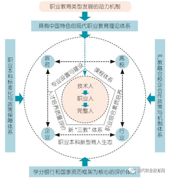 基层教练困境：为何人才难培养？