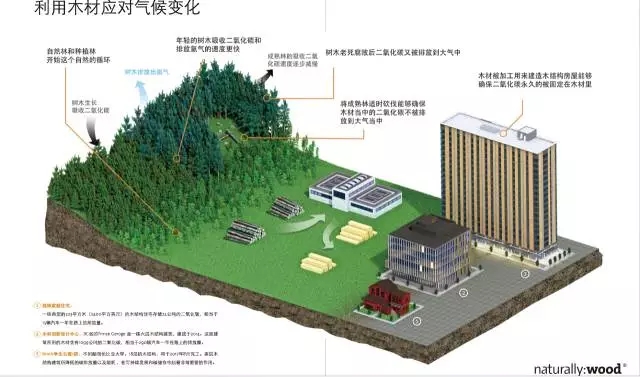 环保足球：球场如何减少碳足迹？