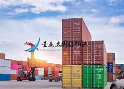 包含“未来之星：青训体系的关键作用与成就！”的词条