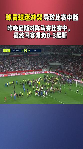 包含某地球迷冲突事件：安保不力致比赛中断的词条